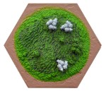 Sheep Hex - 3D 2021