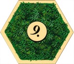 Die Kolonien 2007 - Wood 03