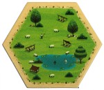 Sheep4 - Summer 2019
