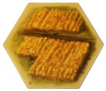 TDA - Fields 02