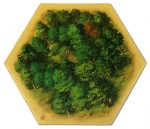 TDA - Forest 02