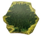 DWDL - Wood 02