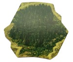 DWDL - Wood 04