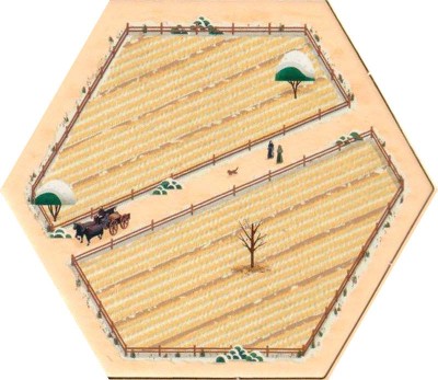 Wheat 02 - Winter 2025
